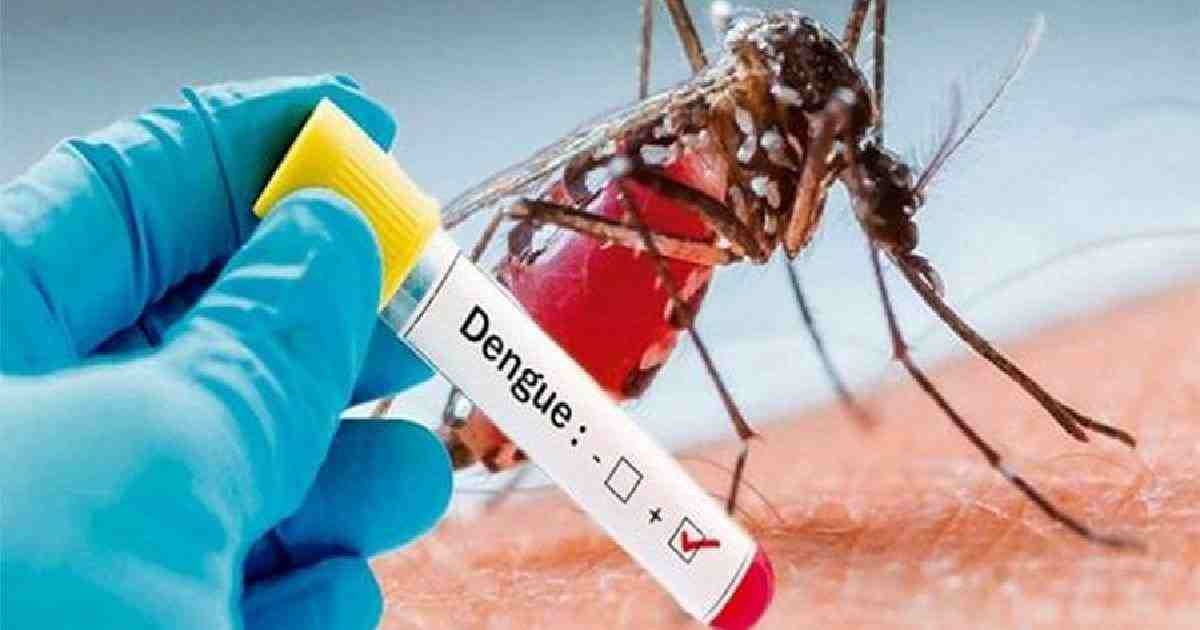 https://www.nepalminute.com/uploads/posts/dengue - dailyasianage dot com1662373706.jpg